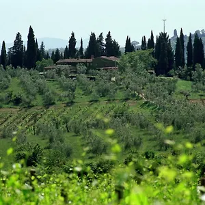 Fattoria Casa Sola Barberino Val d'Elsa